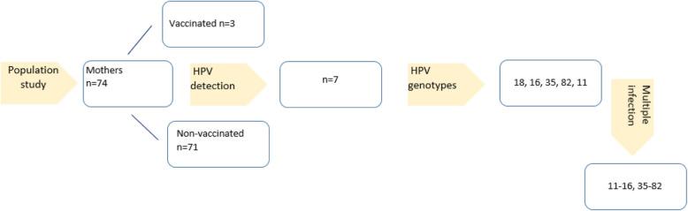 https://cdn.ncbi.nlm.nih.gov/pmc/blobs/4336/12087239/e8bdf2e07f51/12985_2025_2767_Fig2_HTML.jpg