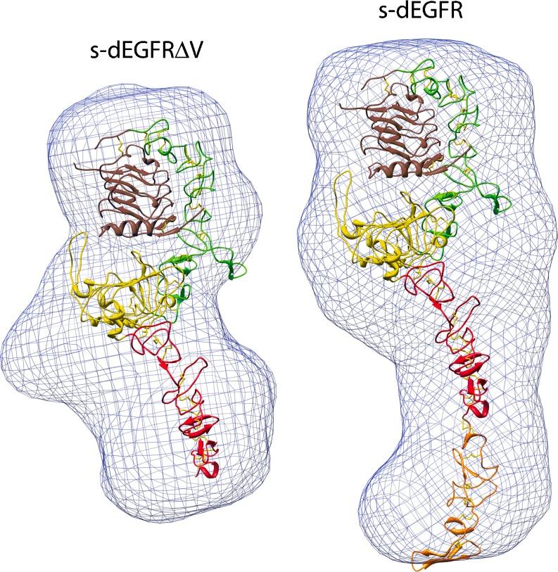 https://cdn.ncbi.nlm.nih.gov/pmc/blobs/4336/5418375/17cb6175f2f5/12551_2009_26_Fig4_HTML.jpg