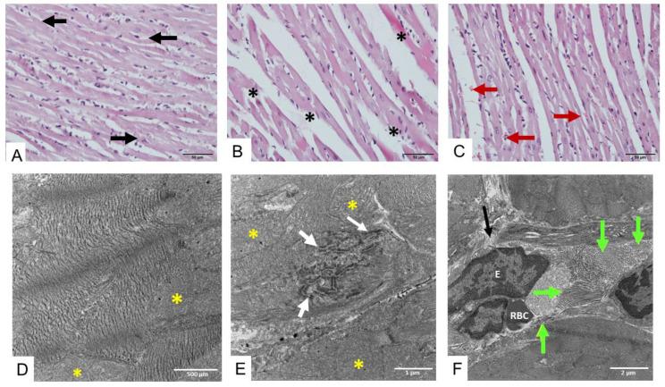 https://cdn.ncbi.nlm.nih.gov/pmc/blobs/4337/11769258/032c8edbaea6/toxins-17-00010-g003.jpg