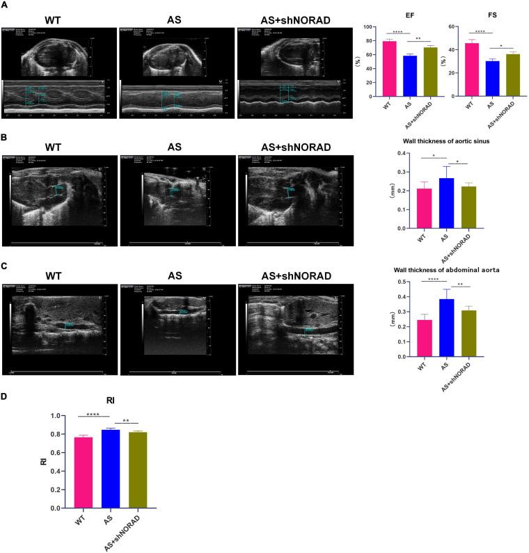 https://cdn.ncbi.nlm.nih.gov/pmc/blobs/4338/8301222/0aa945d6b284/fcell-09-701628-g008.jpg
