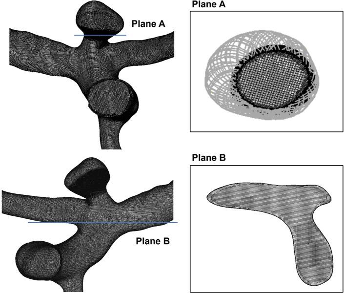 https://cdn.ncbi.nlm.nih.gov/pmc/blobs/433d/11341747/79254dea8c68/10237_2024_1829_Fig5_HTML.jpg