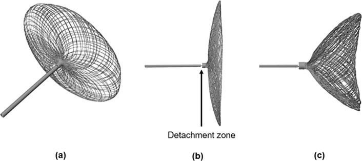 https://cdn.ncbi.nlm.nih.gov/pmc/blobs/433d/11341747/c7fd9549f2cf/10237_2024_1829_Fig1_HTML.jpg