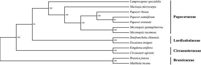https://cdn.ncbi.nlm.nih.gov/pmc/blobs/433e/7687438/dd91730348a7/TMDN_A_1629343_F0001_B.jpg