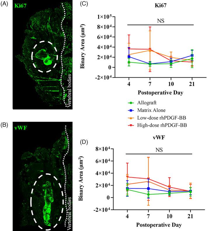 https://cdn.ncbi.nlm.nih.gov/pmc/blobs/433e/8717117/72b26f2f831b/JSP2-4-e1173-g007.jpg