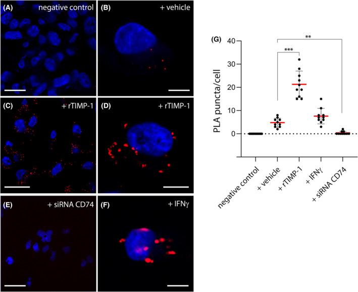 https://cdn.ncbi.nlm.nih.gov/pmc/blobs/4341/10399710/ee209d0717b2/MOL2-17-1595-g001.jpg