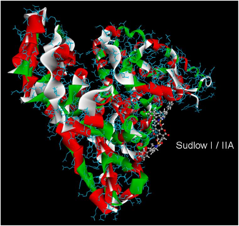 https://cdn.ncbi.nlm.nih.gov/pmc/blobs/4343/11466673/39ff953b3433/gr13.jpg