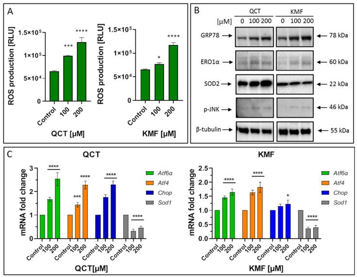 https://cdn.ncbi.nlm.nih.gov/pmc/blobs/4344/11477293/e20f15a79fd9/ijms-25-10740-g004.jpg