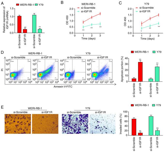 https://cdn.ncbi.nlm.nih.gov/pmc/blobs/4345/8143749/e82790b84b5a/IJO-59-01-05227-g04.jpg