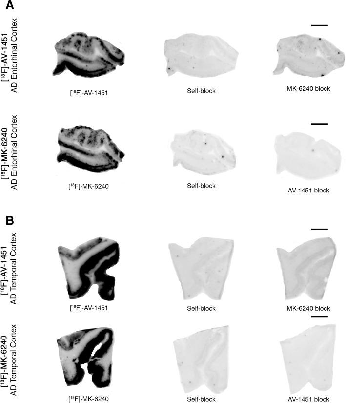 https://cdn.ncbi.nlm.nih.gov/pmc/blobs/4346/6410510/4cd7e2de500f/40478_2019_686_Fig4_HTML.jpg