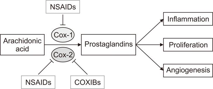 https://cdn.ncbi.nlm.nih.gov/pmc/blobs/4347/7523034/049e173299b8/JCP-25-127-f1.jpg