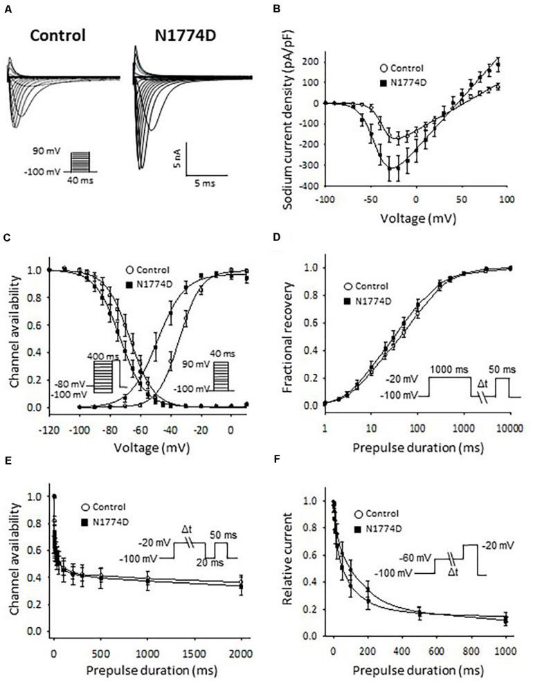 https://cdn.ncbi.nlm.nih.gov/pmc/blobs/434c/7438478/f568117a5352/fcell-08-00761-g003.jpg