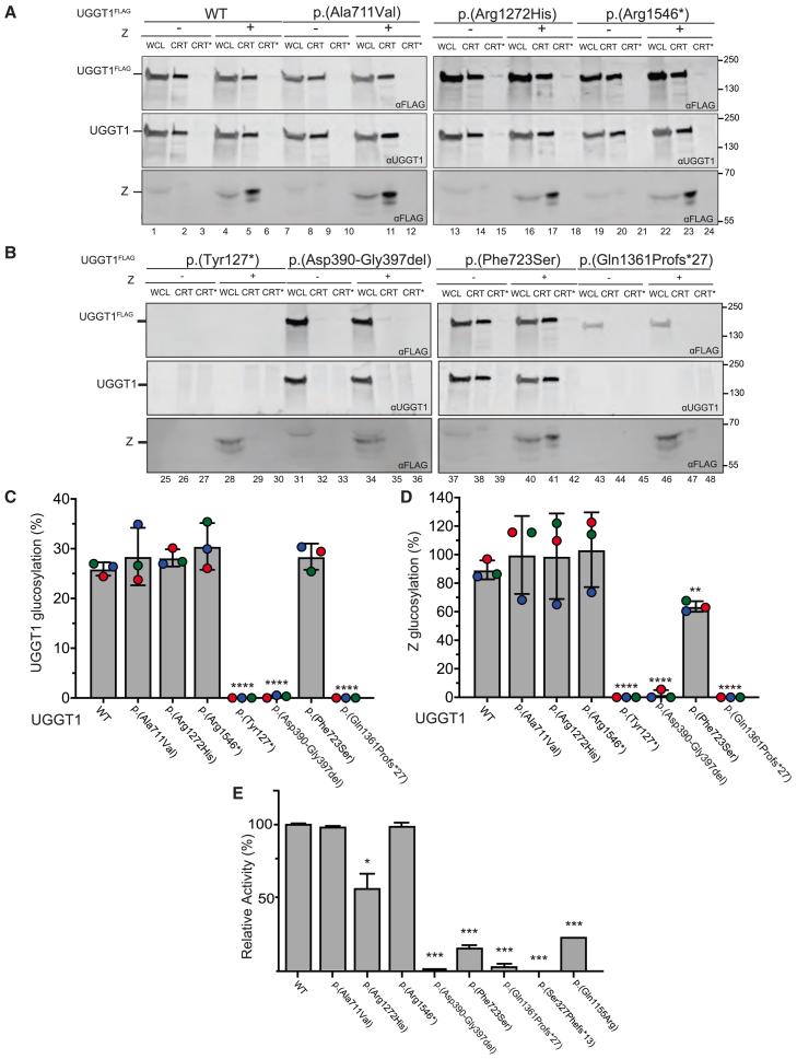 https://cdn.ncbi.nlm.nih.gov/pmc/blobs/434f/12120171/e7f4d59be337/gr4.jpg