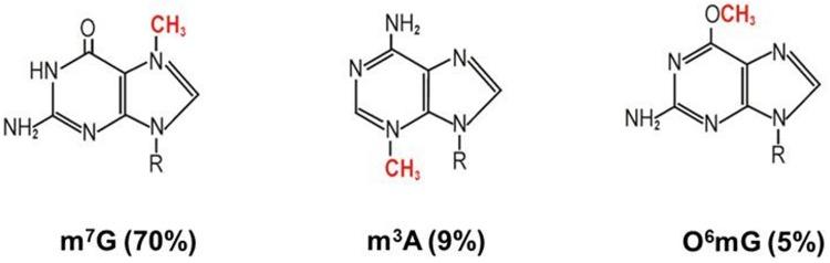 https://cdn.ncbi.nlm.nih.gov/pmc/blobs/434f/7043761/9387d920f3b2/pone.0229534.g001.jpg