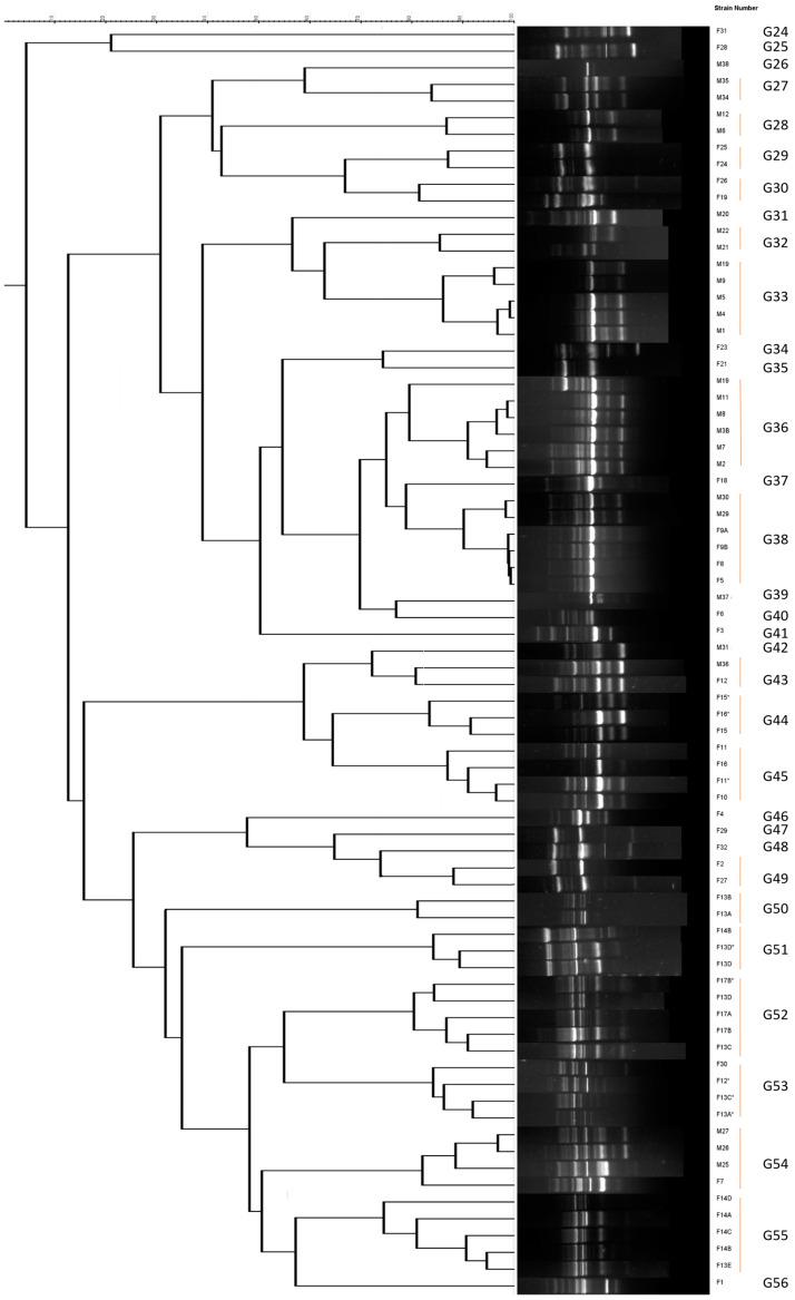 https://cdn.ncbi.nlm.nih.gov/pmc/blobs/4350/10744636/1ec12b82e5b1/life-13-02323-g003.jpg