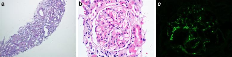 https://cdn.ncbi.nlm.nih.gov/pmc/blobs/4351/8582118/51a85e50ae9c/12882_2021_2583_Fig1_HTML.jpg