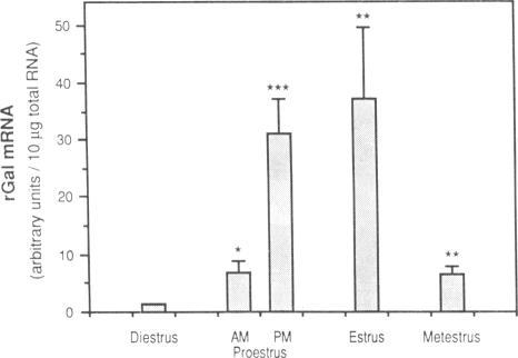 https://cdn.ncbi.nlm.nih.gov/pmc/blobs/4353/282196/4c13b527622e/pnas00298-0378-a.jpg
