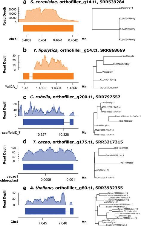 https://cdn.ncbi.nlm.nih.gov/pmc/blobs/4353/5437544/7d4b10a1ff2c/12864_2017_3771_Fig8_HTML.jpg