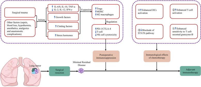 https://cdn.ncbi.nlm.nih.gov/pmc/blobs/4353/9909200/1dc928787273/fonc-13-1063183-g001.jpg