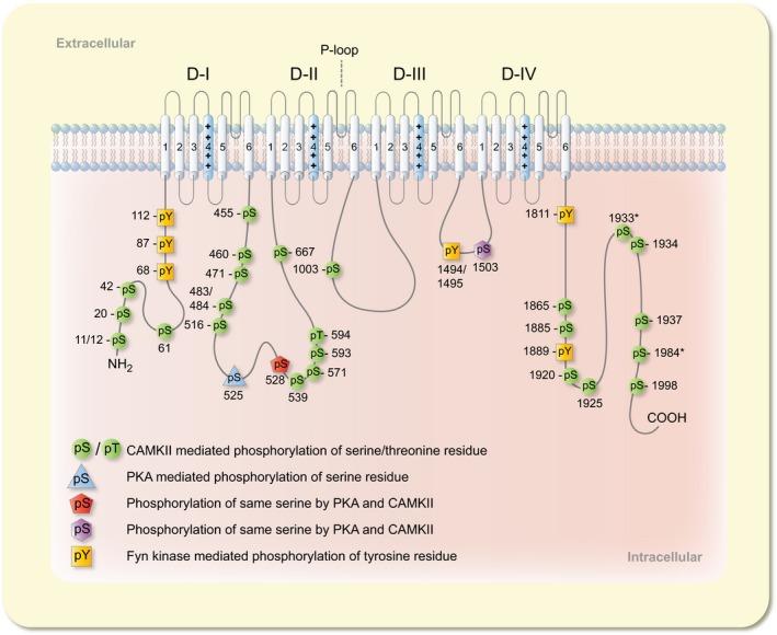 https://cdn.ncbi.nlm.nih.gov/pmc/blobs/4355/6590314/b1979b0319af/APHA-225-na-g003.jpg