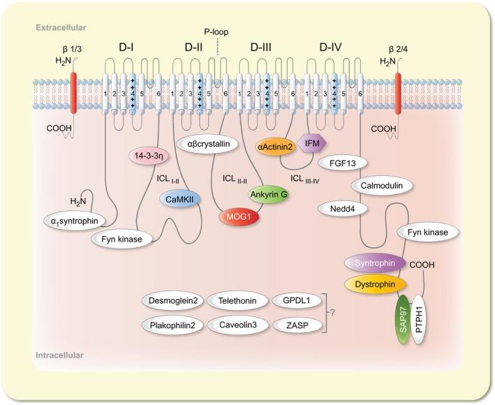 https://cdn.ncbi.nlm.nih.gov/pmc/blobs/4355/6590314/f4c2eade0cfe/APHA-225-na-g001.jpg