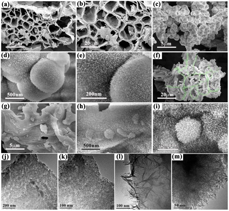 https://cdn.ncbi.nlm.nih.gov/pmc/blobs/4356/11173665/2d9e8f3c8fae/molecules-29-02620-g002.jpg