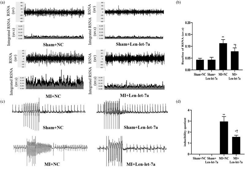 https://cdn.ncbi.nlm.nih.gov/pmc/blobs/4356/11179384/174847bf9940/j_med-2024-0975-fig006.jpg