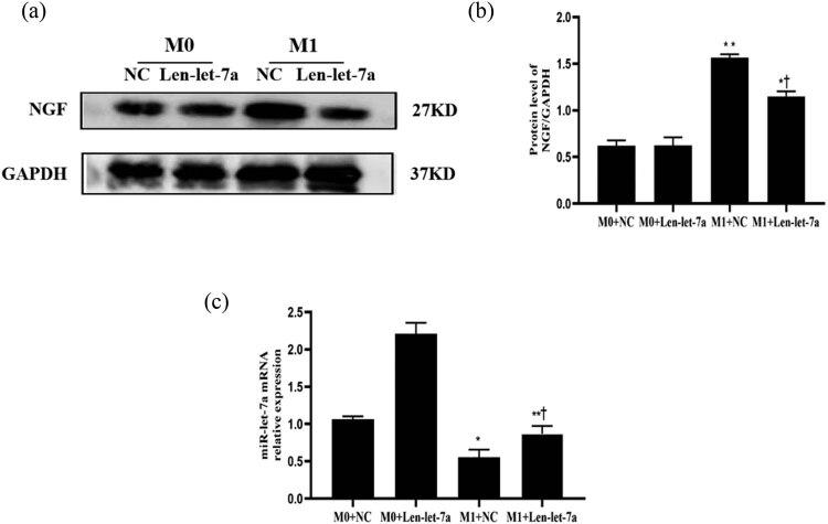 https://cdn.ncbi.nlm.nih.gov/pmc/blobs/4356/11179384/7958c7fbe2fd/j_med-2024-0975-fig002.jpg