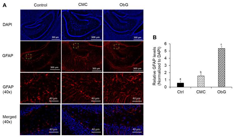 https://cdn.ncbi.nlm.nih.gov/pmc/blobs/4358/11476385/3db5876d093c/foods-13-03102-g010.jpg