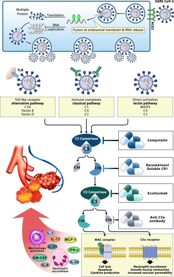 https://cdn.ncbi.nlm.nih.gov/pmc/blobs/4358/7260598/08688afdb883/gr4_lrg.jpg