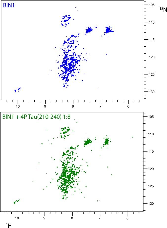 https://cdn.ncbi.nlm.nih.gov/pmc/blobs/4359/6246682/1cc23b1e2fa1/fnmol-11-00421-g005.jpg