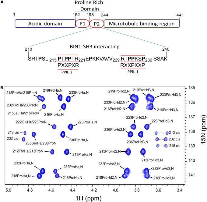 https://cdn.ncbi.nlm.nih.gov/pmc/blobs/4359/6246682/dfffcec11a5d/fnmol-11-00421-g001.jpg