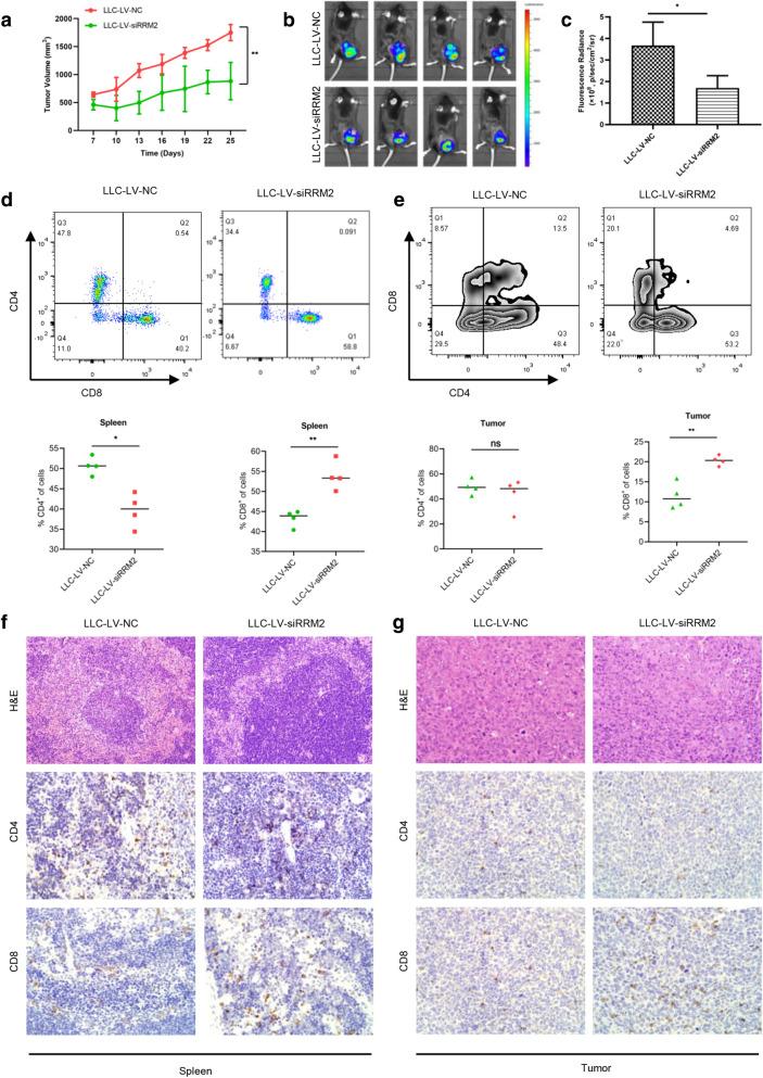 https://cdn.ncbi.nlm.nih.gov/pmc/blobs/4359/8051110/1f9a34f1d39c/13578_2021_586_Fig8_HTML.jpg