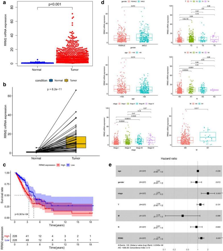 https://cdn.ncbi.nlm.nih.gov/pmc/blobs/4359/8051110/34c43af0e6b2/13578_2021_586_Fig1_HTML.jpg