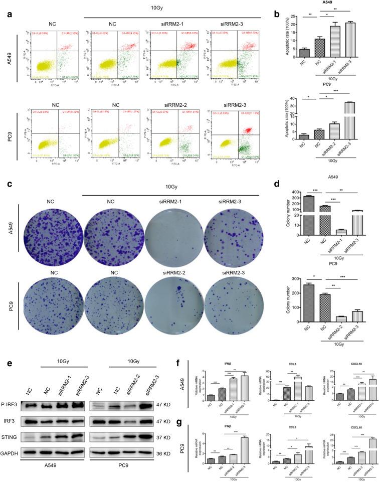 https://cdn.ncbi.nlm.nih.gov/pmc/blobs/4359/8051110/62ee2b89855d/13578_2021_586_Fig9_HTML.jpg