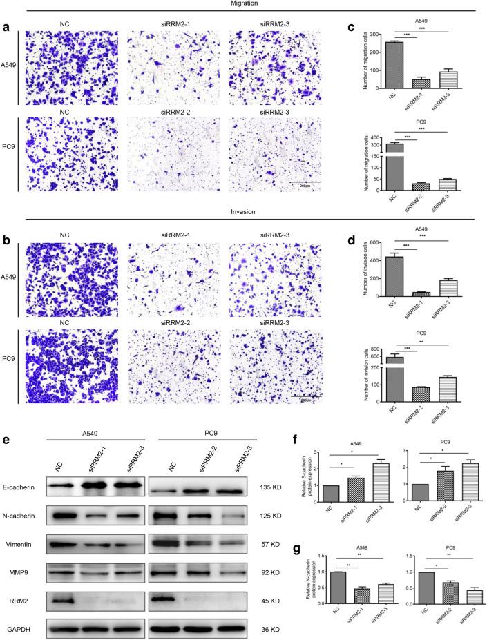 https://cdn.ncbi.nlm.nih.gov/pmc/blobs/4359/8051110/90442dc004c5/13578_2021_586_Fig3_HTML.jpg
