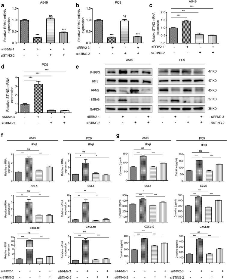 https://cdn.ncbi.nlm.nih.gov/pmc/blobs/4359/8051110/c595ed14cee9/13578_2021_586_Fig6_HTML.jpg