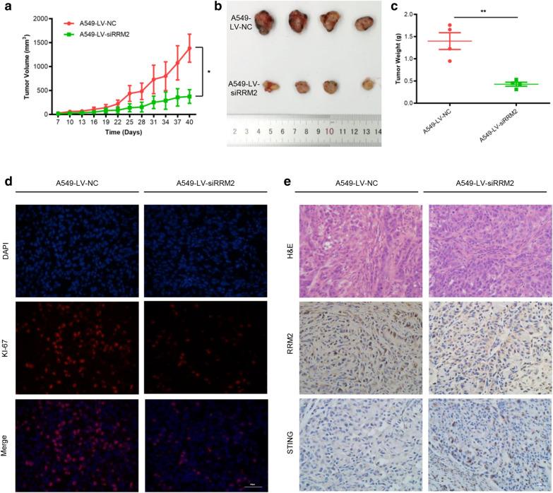 https://cdn.ncbi.nlm.nih.gov/pmc/blobs/4359/8051110/dd17b4459d24/13578_2021_586_Fig7_HTML.jpg