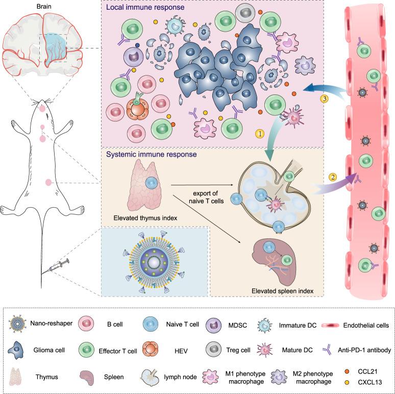 https://cdn.ncbi.nlm.nih.gov/pmc/blobs/4359/9880004/0a9e48f01eec/41467_2023_35957_Fig1_HTML.jpg