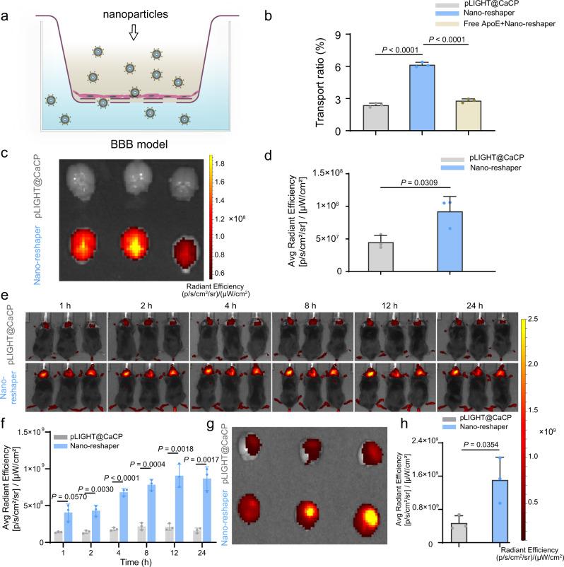 https://cdn.ncbi.nlm.nih.gov/pmc/blobs/4359/9880004/41800df7f680/41467_2023_35957_Fig3_HTML.jpg