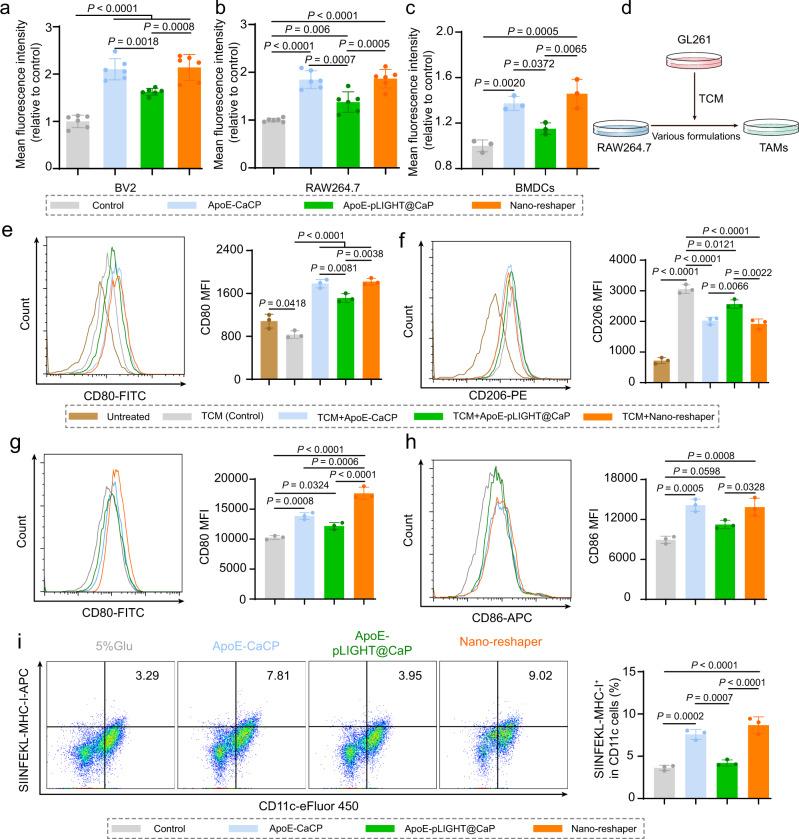 https://cdn.ncbi.nlm.nih.gov/pmc/blobs/4359/9880004/c49930f80971/41467_2023_35957_Fig5_HTML.jpg