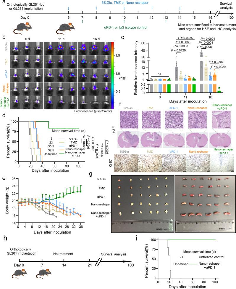 https://cdn.ncbi.nlm.nih.gov/pmc/blobs/4359/9880004/d446ab386e82/41467_2023_35957_Fig8_HTML.jpg
