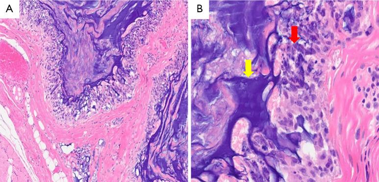 https://cdn.ncbi.nlm.nih.gov/pmc/blobs/435a/10493632/d20bdb7393dd/gs-12-08-1131-f5.jpg