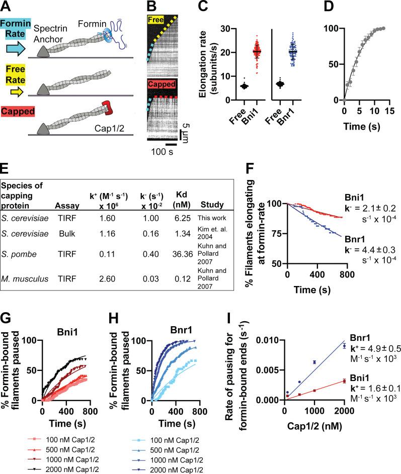https://cdn.ncbi.nlm.nih.gov/pmc/blobs/435b/9929936/ba1ce636c23c/JCB_202209105_Fig2.jpg