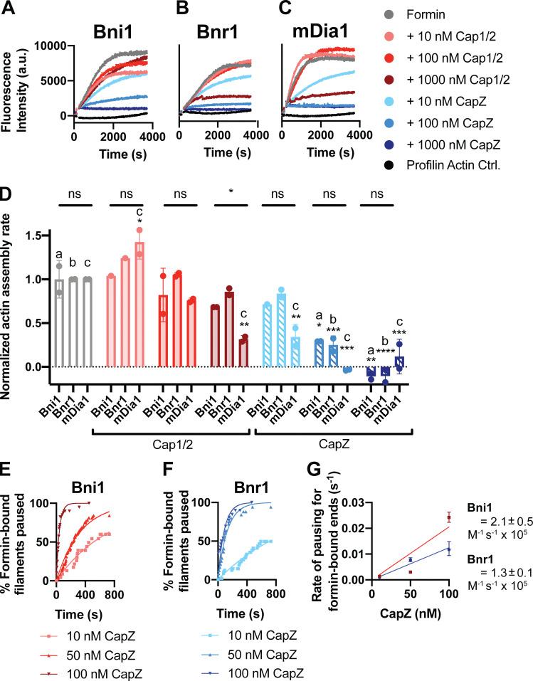 https://cdn.ncbi.nlm.nih.gov/pmc/blobs/435b/9929936/f2635fd2cdb0/JCB_202209105_FigS1.jpg