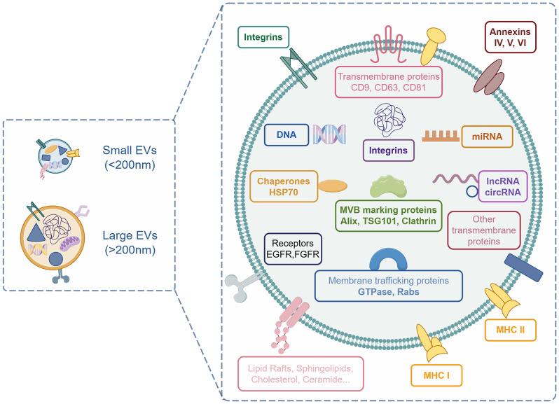 https://cdn.ncbi.nlm.nih.gov/pmc/blobs/435c/11323404/8f9aa9467f64/12951_2024_2750_Fig5_HTML.jpg