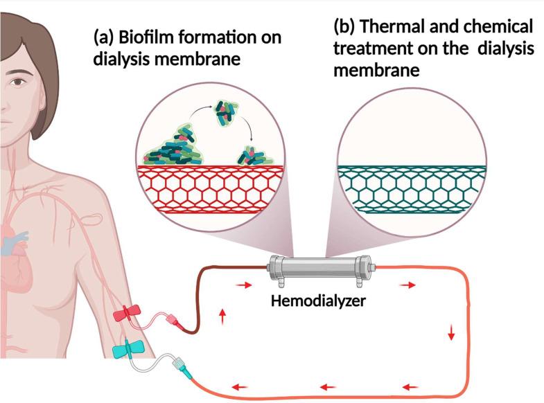 https://cdn.ncbi.nlm.nih.gov/pmc/blobs/435e/10951465/0de01df9a157/gr6.jpg