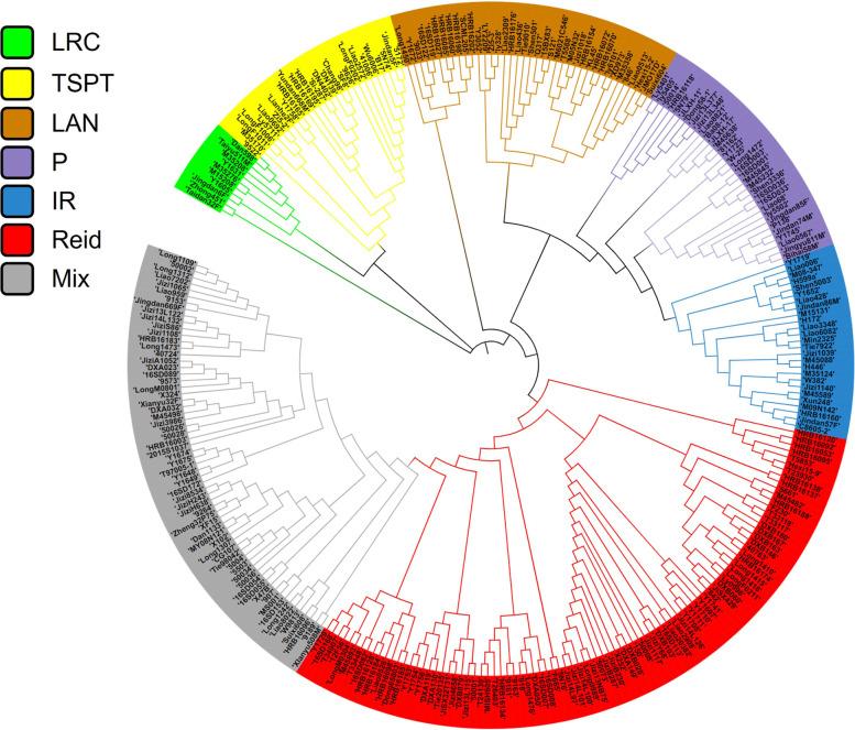 https://cdn.ncbi.nlm.nih.gov/pmc/blobs/4360/9490995/5fd6ec79103b/12870_2022_3812_Fig2_HTML.jpg