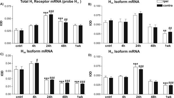 https://cdn.ncbi.nlm.nih.gov/pmc/blobs/4362/517932/6198a16c45e0/1471-2202-5-32-1.jpg
