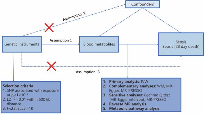 https://cdn.ncbi.nlm.nih.gov/pmc/blobs/4363/11109149/3c62c7e8154c/41598_2024_58160_Fig1_HTML.jpg