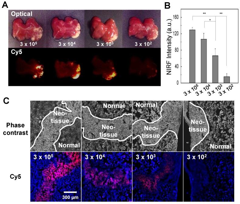 https://cdn.ncbi.nlm.nih.gov/pmc/blobs/4363/3936294/fc572f106293/thnov04p0420g008.jpg